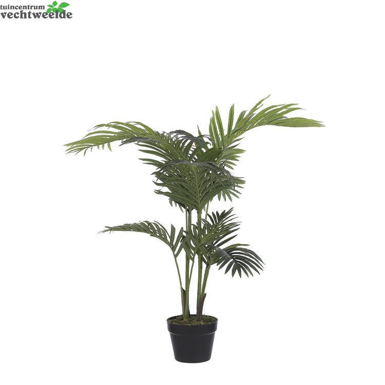 Areca Palm In Pot D70h100cm Groen (Zijde-plant)