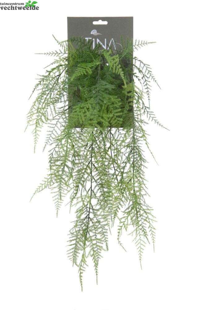 Asparagus Hanger L54cm Groen Header (Zijde-plant)