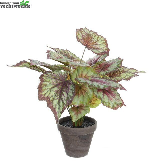 Begonia In Pot D38h40cm Rood (Zijde-plant)