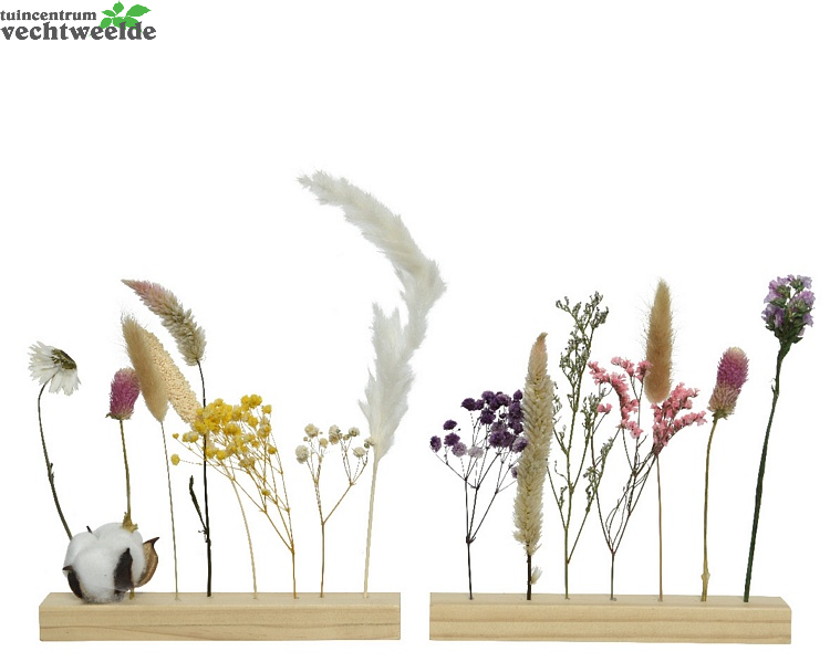 Decoris Bloem Naturel L21b3h21cm Multi
