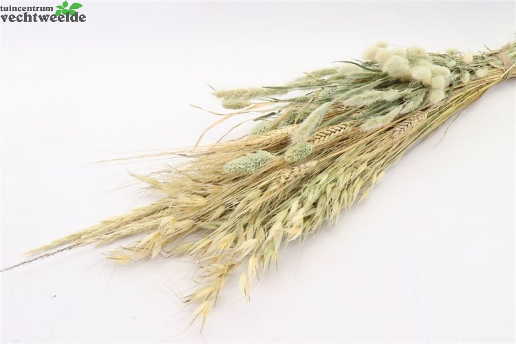 Boeket Nl Oogst L65cm Naturel