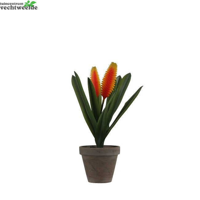 Bromelia In Pot D30h33cm Oranje (Zijde-plant)