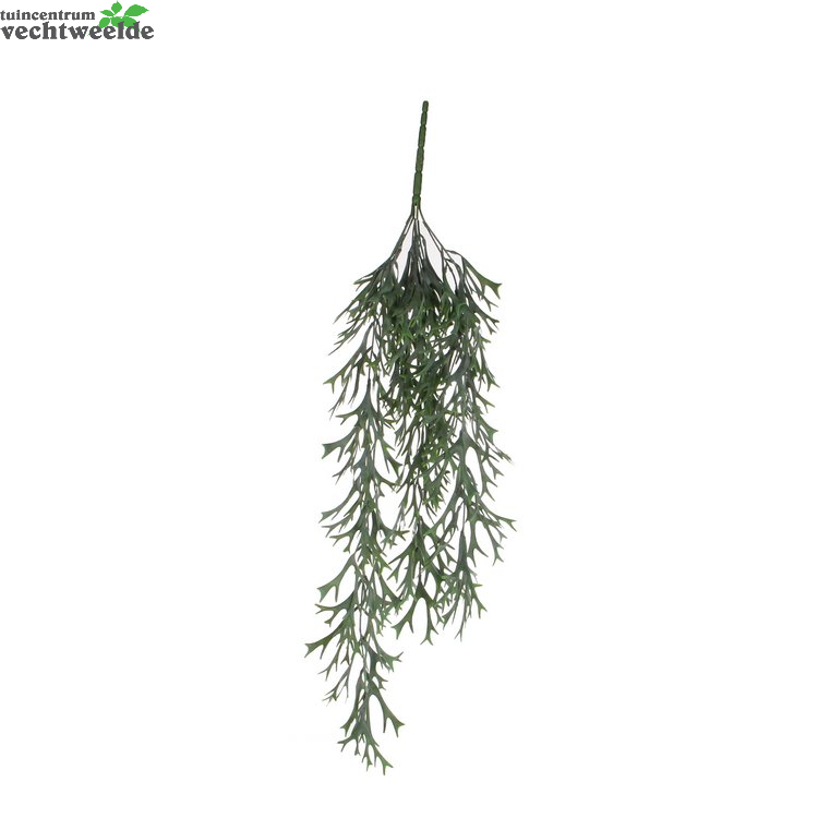 Citronella Hang L84cm Groen (Zijde-plant)