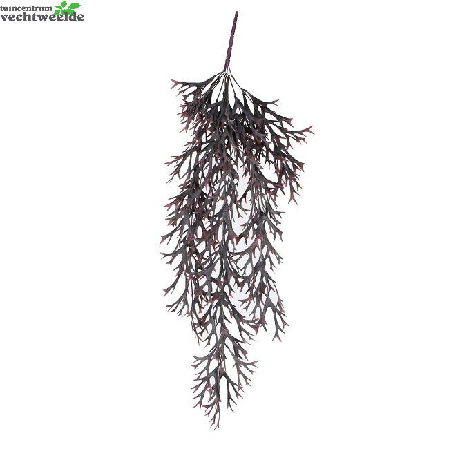 Citronella Hang L84cm Rood (Zijde-plant)