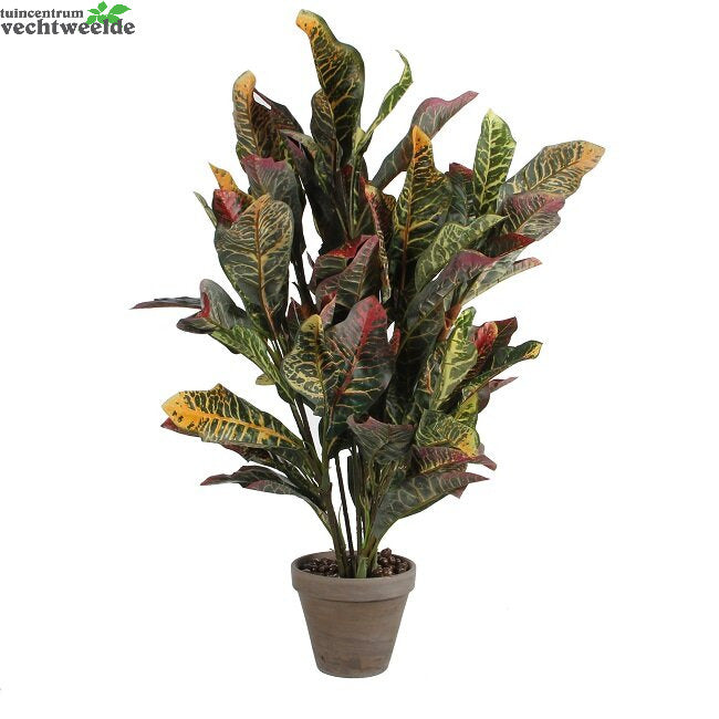 Croton Blad In Pot D40h73cm Groen (Zijde-plant)