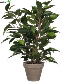 Ficus Natasja In Pot D30h40cm Groen (Zijde-plant)