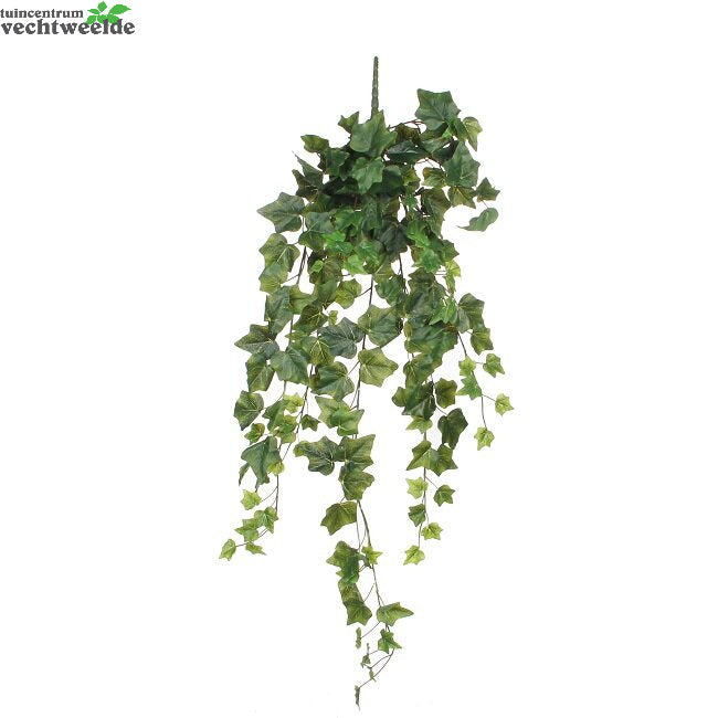 Hedera Hang L86cm Groen (Zijde-plant)