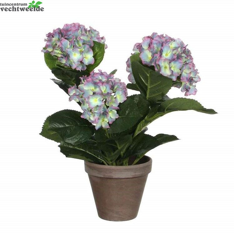 Hortensia In Pot D35h40cm Paars (Zijde-plant)