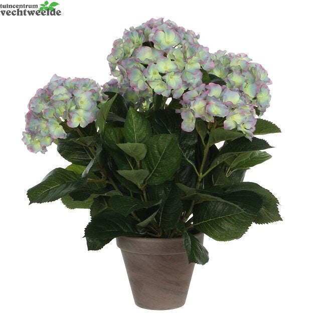 Hortensia In Pot D45h45cm L.paars (Zijde-plant)