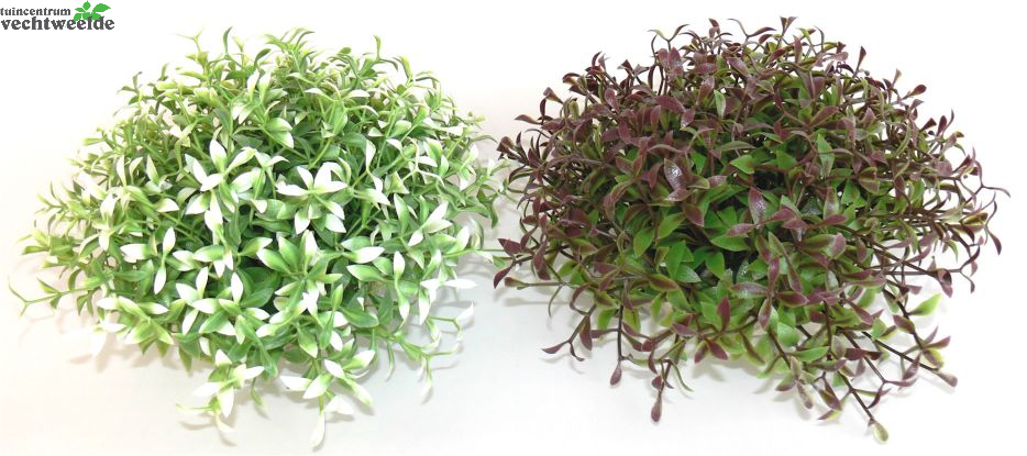 Kunststof Plant Waterball Maxi 10cm