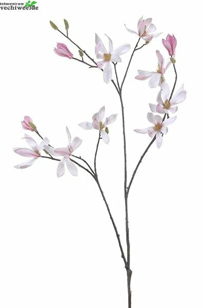 Magnolia Steel L100cm Roze