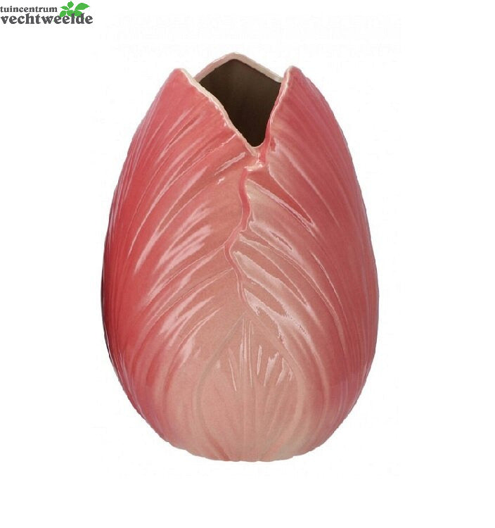 MENTON TULIP VASE DARK PINK 24X24X33CM ASS P/1