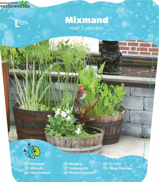 Mix Mand Met 3 Waterplanten