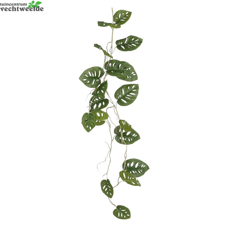 Monstera Grlnd L115b34h10cm Groen (Zijde-plant)