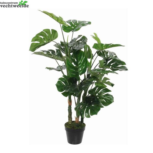 Monstera In Pot D75h100cm Groen (Zijde-plant)