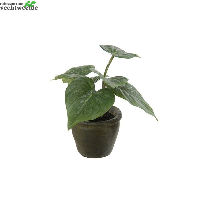 Philodendron In Pot H25cm Groen (Zijde-plant)