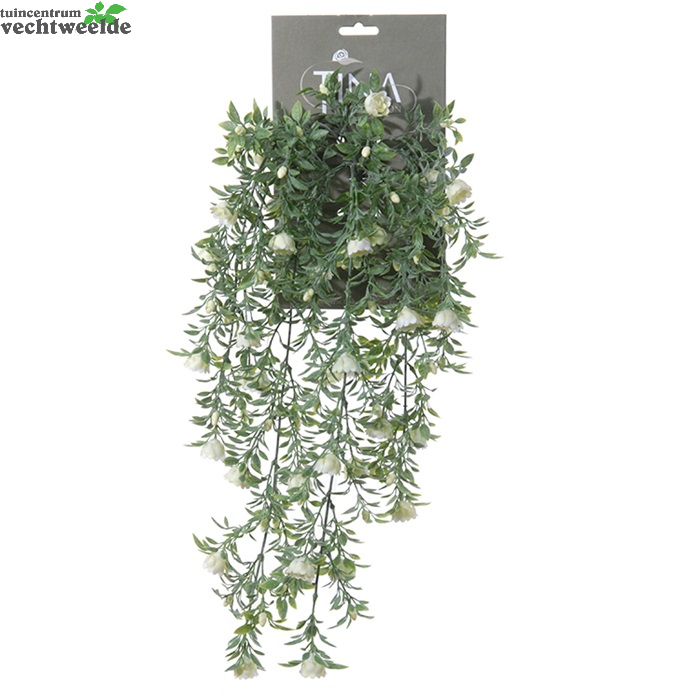 Roos Hanger L50cm Groen/creme Heade (Zijde-plant)