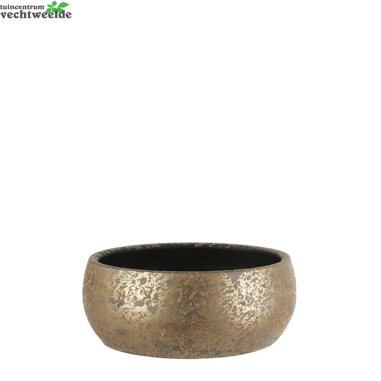 Schaal Clemente D37h15cm Goud - Mica