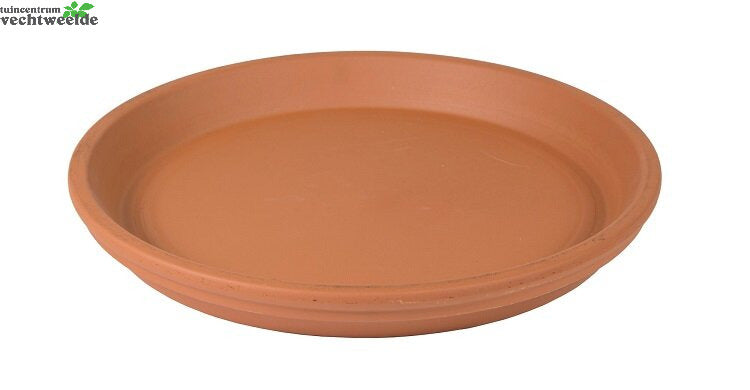 Schotel Roodsteen D51h5.9cm
