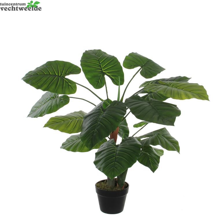 Taro In Pot H90d60cm Groen (Zijde-plant)