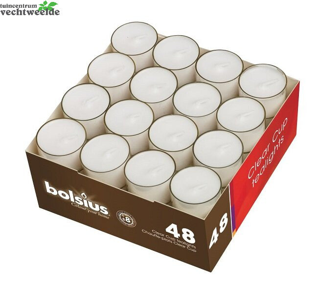 Bolsius Theelicht 8u Wit 48st