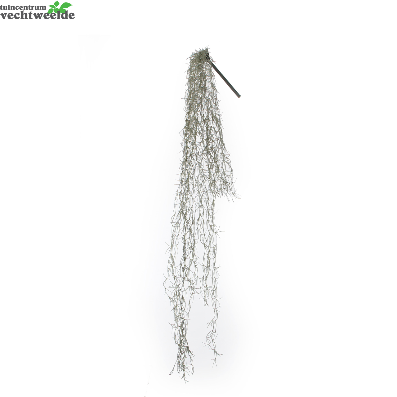 Tillandsia Hang In Pot L115cm Groen (Zijde-plant)