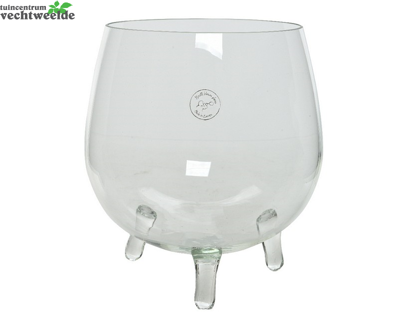 Vaas Glas Voet D22h26cm Helder