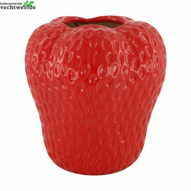 Vaas Keramiek L18b18h20cm Rood