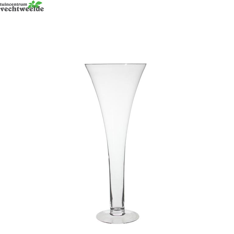 Vaas Martini D20 H60cm Transparant