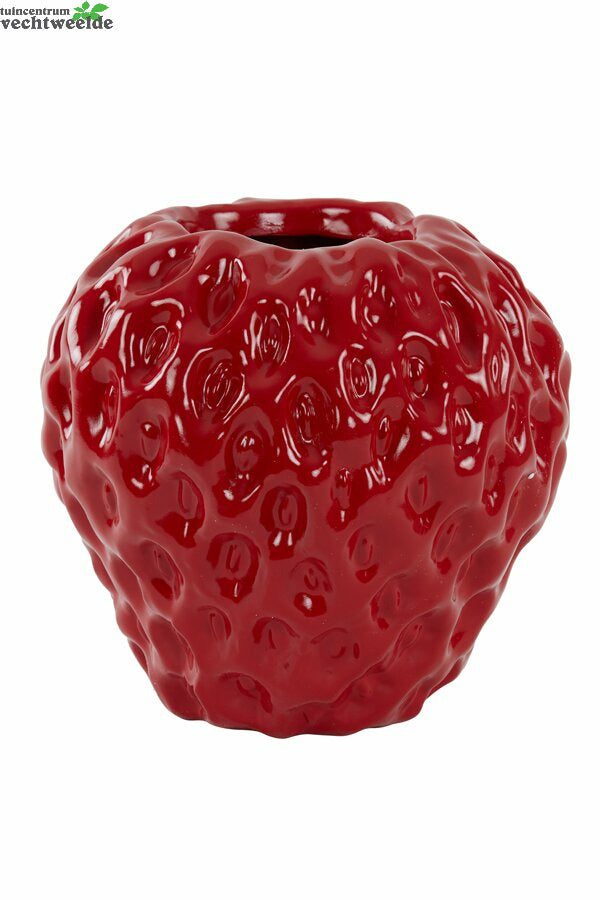 Vaas Strawberry L35b34h33cm Rood