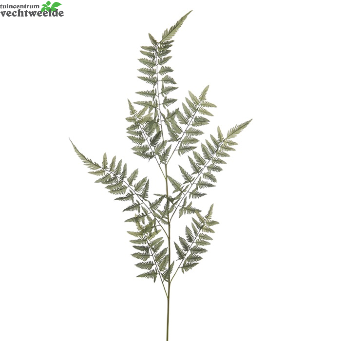 Varenblad Tak H160cm Groen (Zijde-tak)