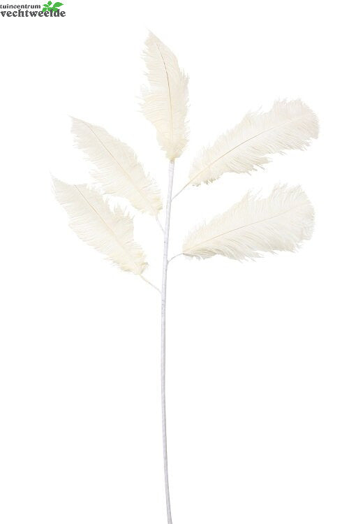 Verentak L129cm Creme (Zijde-tak)