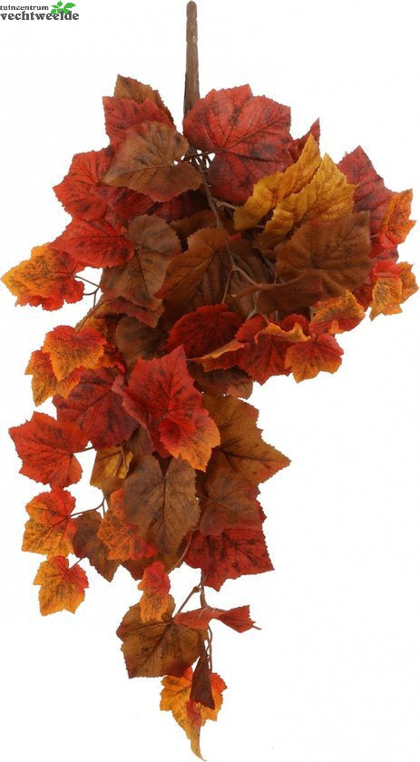 Vine Hang L65b25h15cm Oranje (Zijde-bloem)