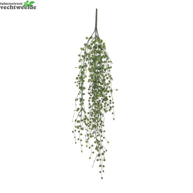 Vine Hang L80 B15 H4cm Groen (Zijde-plant)