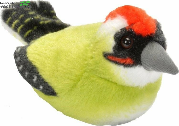 Vogel Met Geluid - Groene Specht