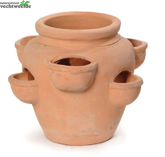  Aardbeienpot 6 CM Cup Dia35 H28,5 CM Terra White Wash