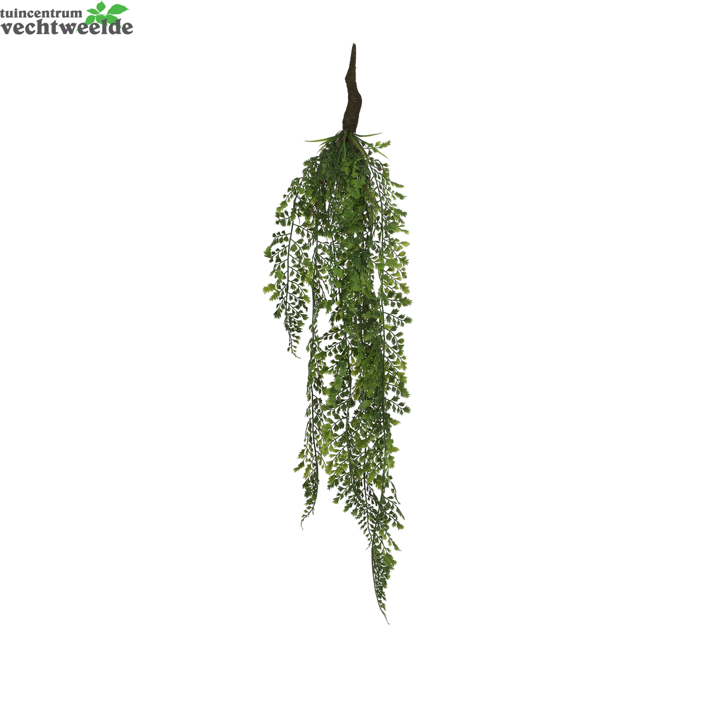  Adiantum Hang In Pot L74 B14 H5 CM Groen (Zijde-plant)