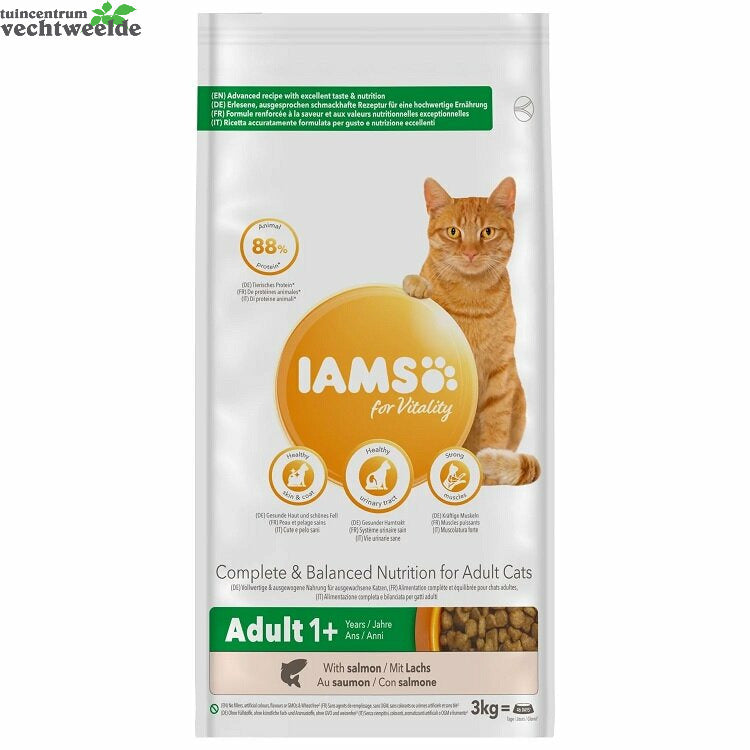 IAMS Adult Salmon 3kg