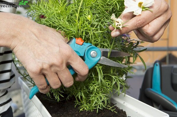 Gardena Allesknipper