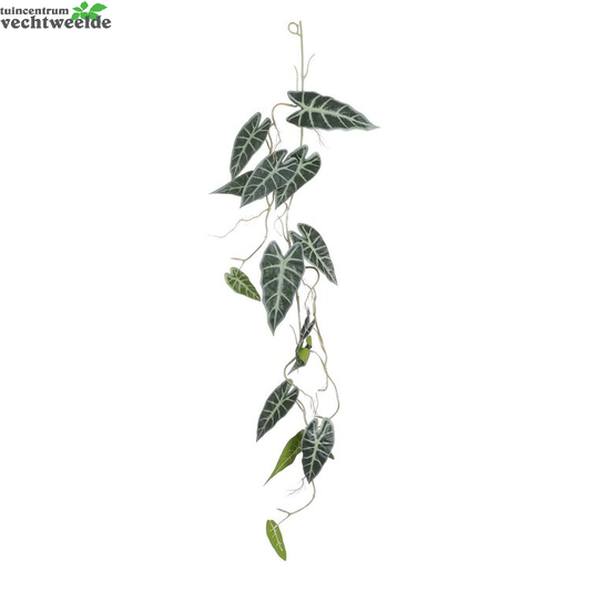  Alocasia Guirlande L115b30h6cm Groen (Zijde-plant)