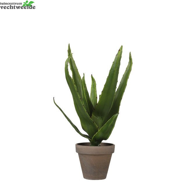  Aloe Vera In Pot D16h30cm Groen (Zijde-plant)