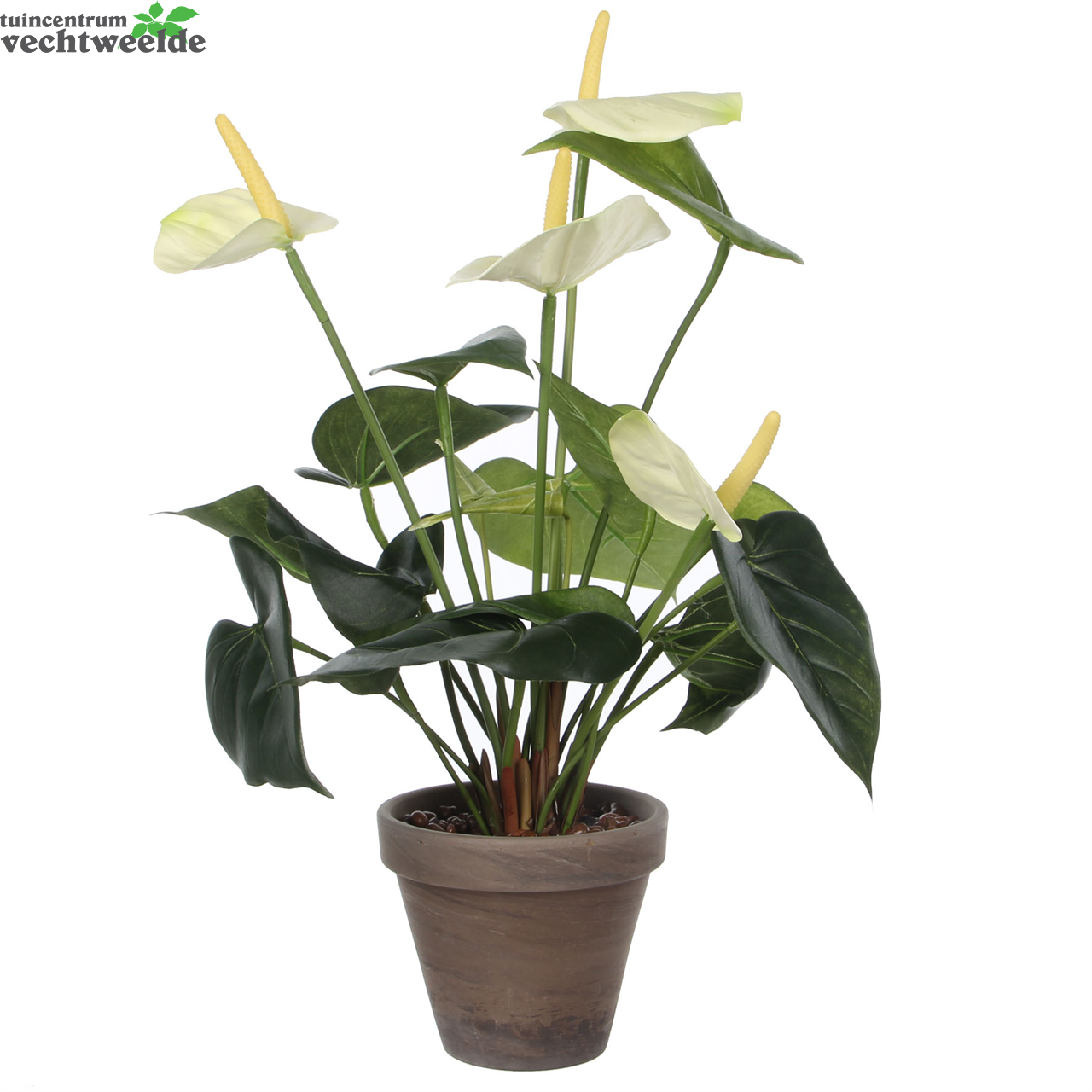  Anthurium Dia30 H40 CM Wit (Zijde-plant)