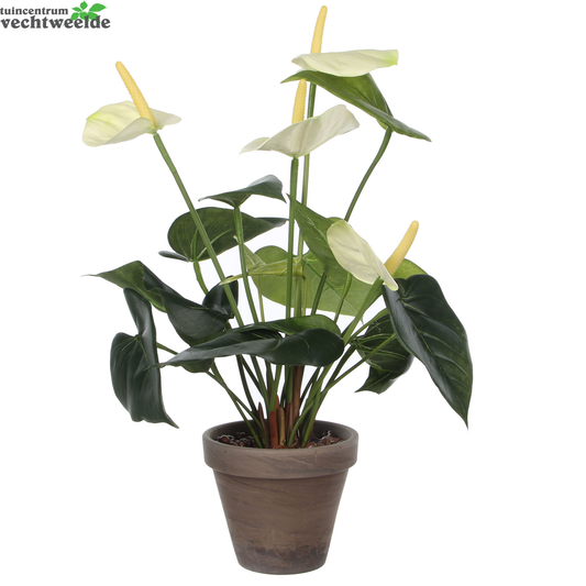  Anthurium Dia30 H40 CM Wit (Zijde-plant)