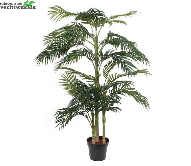  Areca Palm In Pot D130h240cm Groen (Zijde-plant)