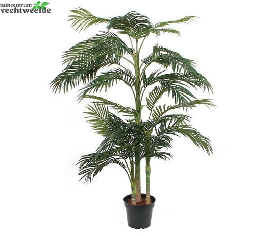  Areca Palm In Pot D130h240cm Groen (Zijde-plant)