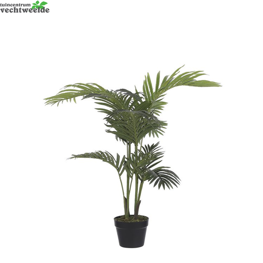  Areca Palm In Pot D70h100cm Groen (Zijde-plant)