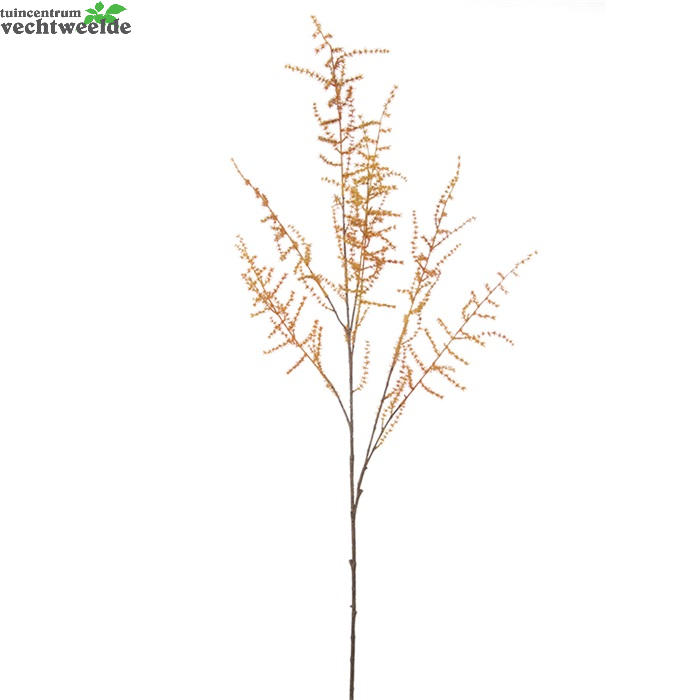  Asparagus Tak Wild L127cm Oranje (Zijde-tak)