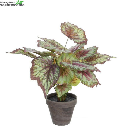  Begonia In Pot D38h40cm Rood (Zijde-plant)