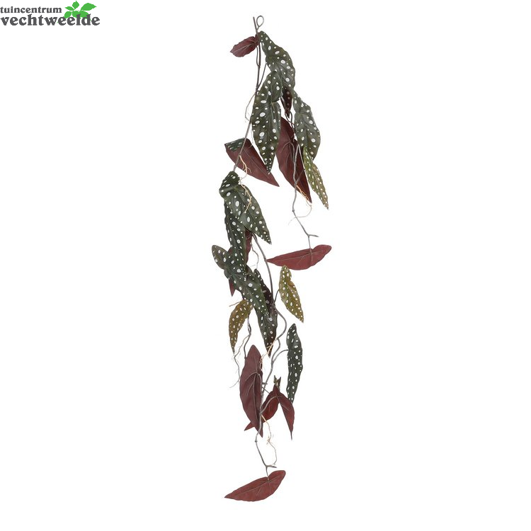  Begonia L115b26h4cm Donker Groen (Zijde-plant)