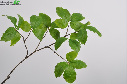  Blad Tak L103cm Groen